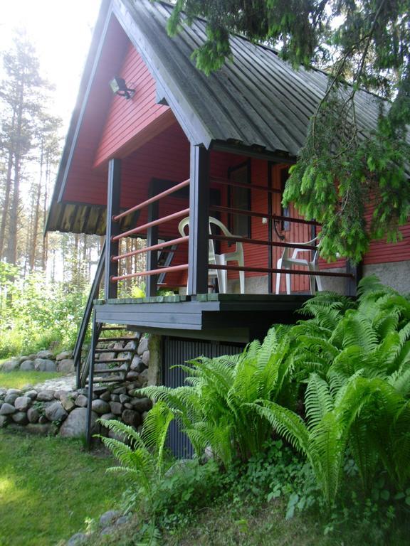 Sireli Hostel Kõpu Værelse billede